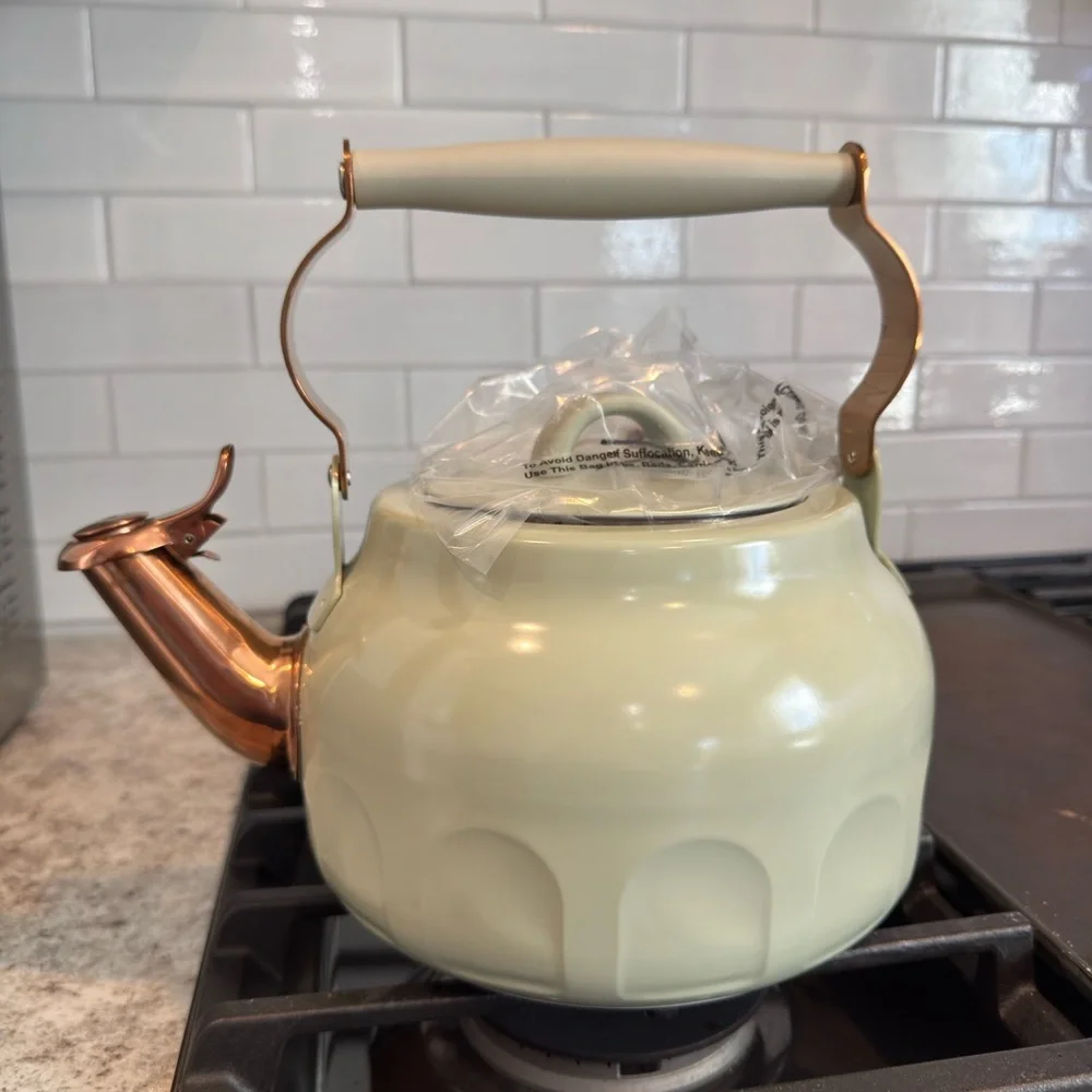 Hearth & Hand 2qt Stainless Steel Arch Cutout Teapot Serene Green- RARE FIND